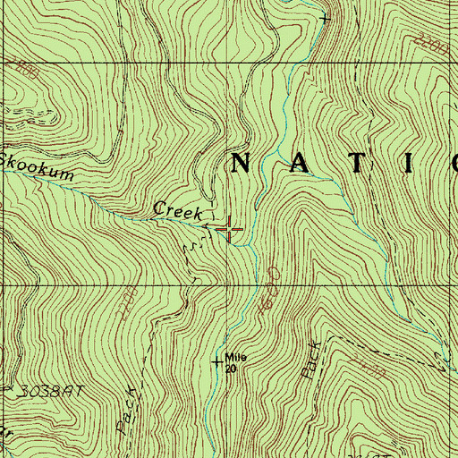 Topographic Map of Skookum Creek, WA