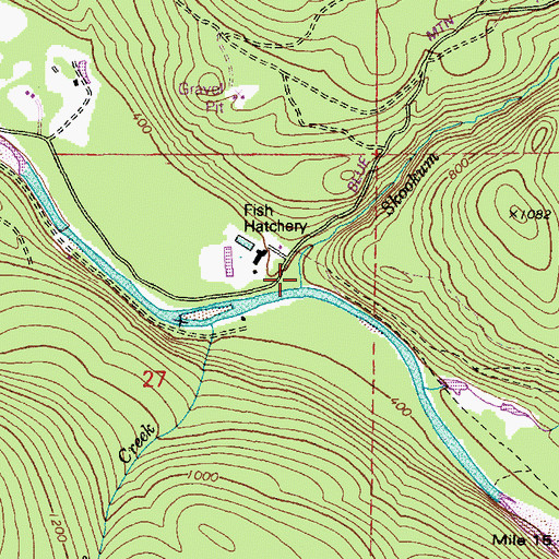 Topographic Map of Skookum Creek, WA