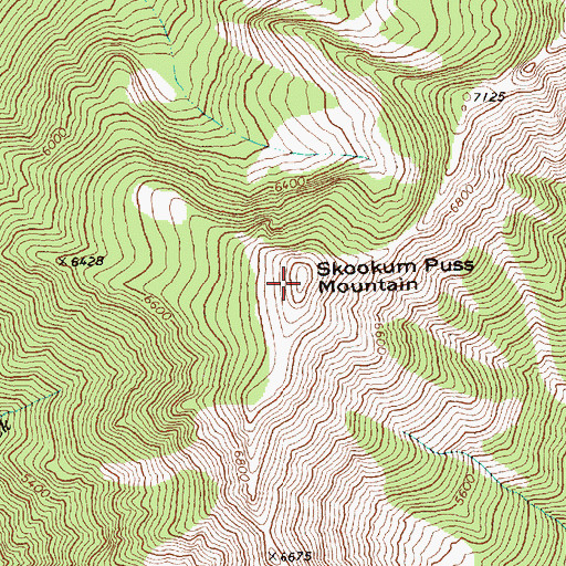 Topographic Map of Skookum Puss Mountain, WA