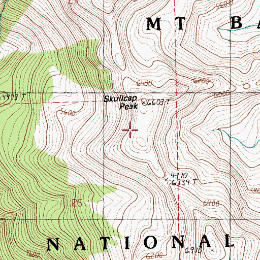 Topographic Map of Skullcap Peak, WA