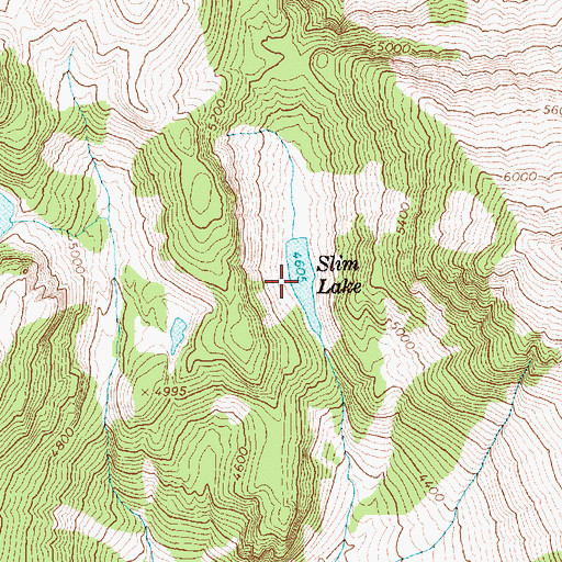 Topographic Map of Slim Lake, WA