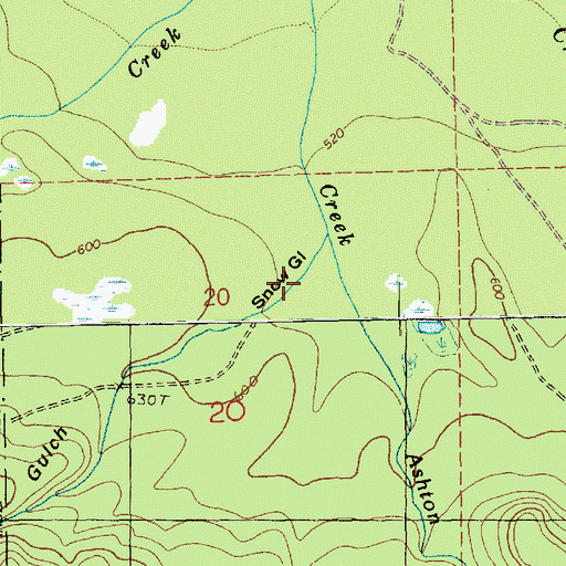 Topographic Map of Snow Gulch, WA