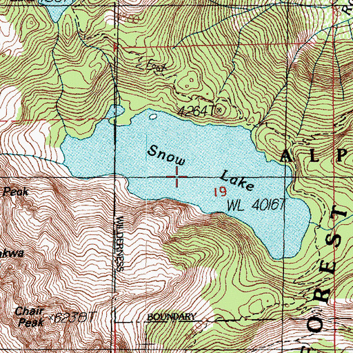 Topographic Map of Snow Lake, WA