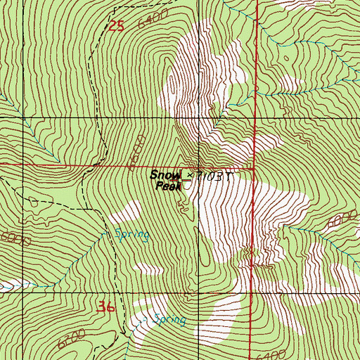 Topographic Map of Snow Peak, WA