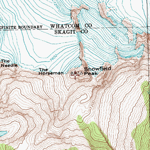 Topographic Map of Snowfield Peak, WA