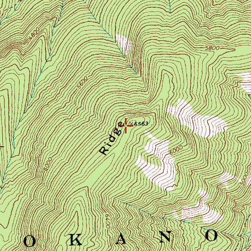 Topographic Map of Snowshoe Ridge, WA