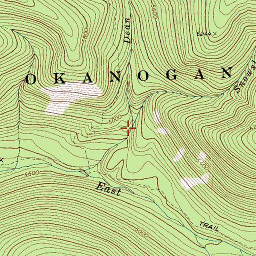 Topographic Map of Snowslide Creek, WA