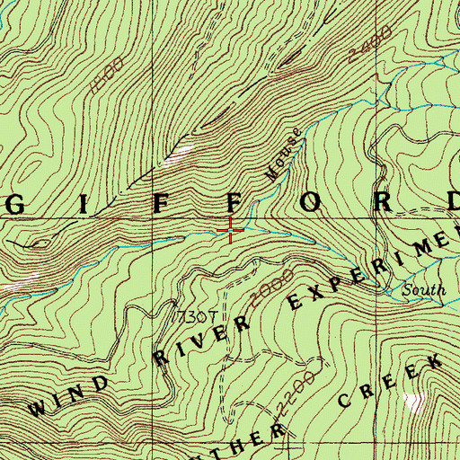 Topographic Map of South Fork Mouse Creek, WA