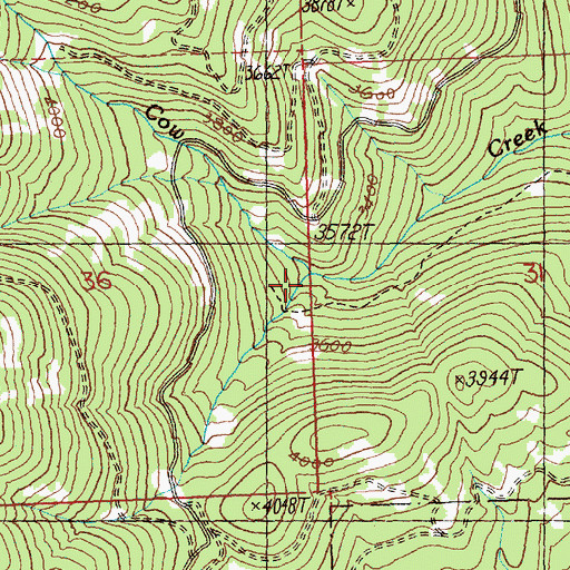 Topographic Map of South Fork Cow Creek, WA