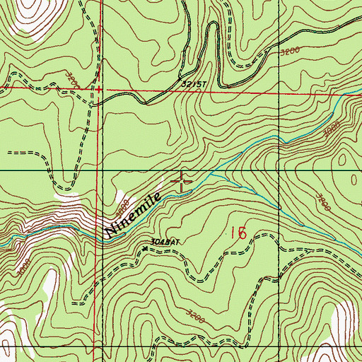 Topographic Map of South Fork Ninemile Creek, WA