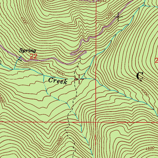 Topographic Map of South Fork Slate Creek, WA