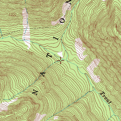 Topographic Map of South Fork Trout Creek, WA