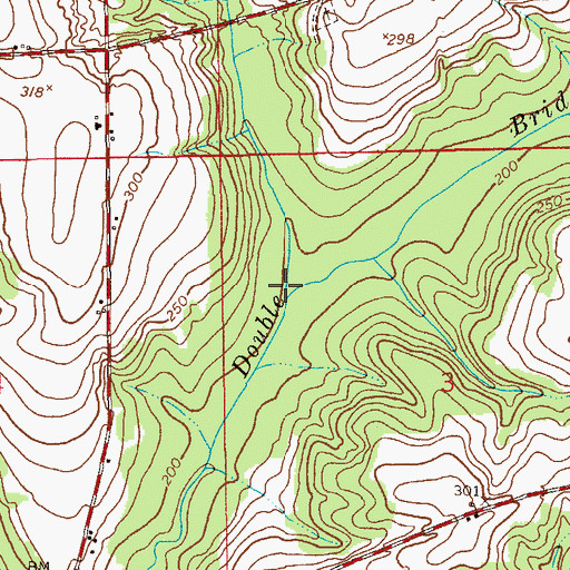 Topographic Map of New Home Branch, AL