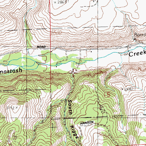 Topographic Map of South Riggs Canyon, WA