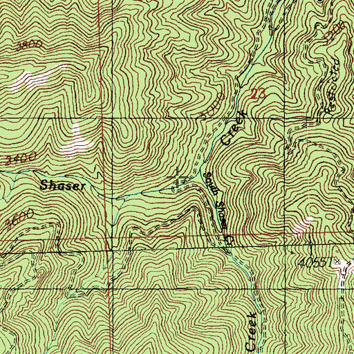Topographic Map of South Shaser Creek, WA