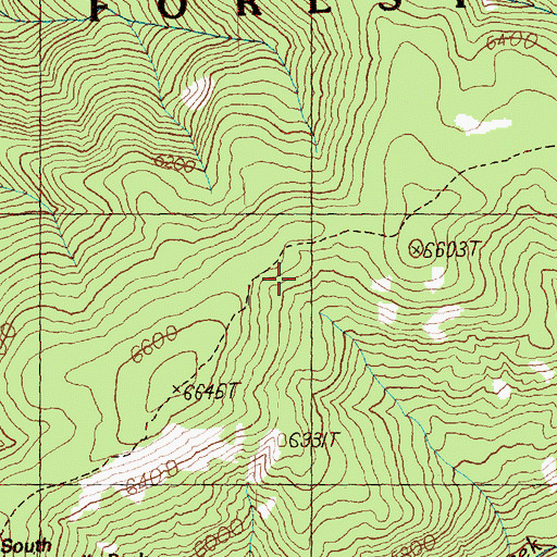 Topographic Map of South Twentymile Trail, WA