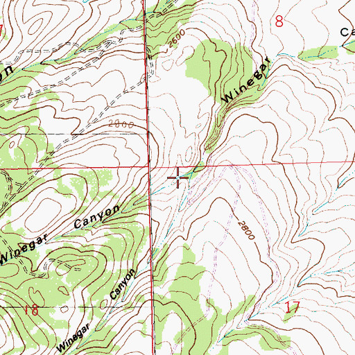 Topographic Map of South Winegar Canyon, WA