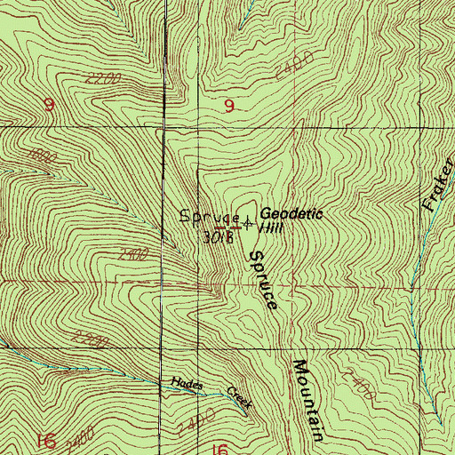 Topographic Map of Spruce Mountain, WA