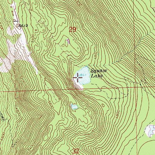 Topographic Map of Squaw Lake, WA