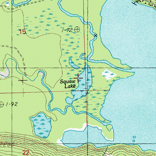 Topographic Map of Squaw Lake, WA