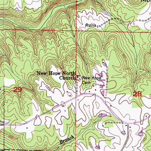 Topographic Map of New Hope North Missionary Baptist Church, AL