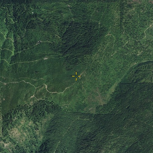 Aerial/Satellite Image of Stone Mountain, WA