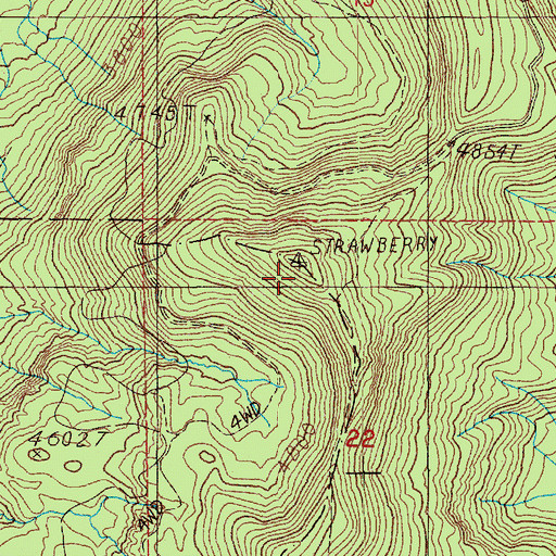 Topographic Map of Strawberry Lookout, WA