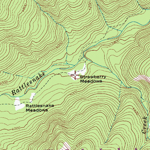 Topographic Map of Strawberry Meadows, WA