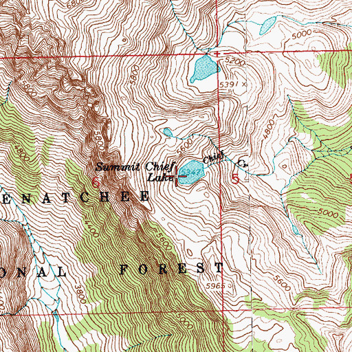 Topographic Map of Summit Chief Lake, WA