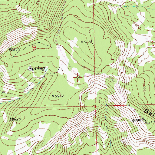 Topographic Map of Summit Trail, WA