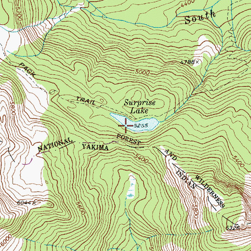 Topographic Map of Surprise Lake, WA