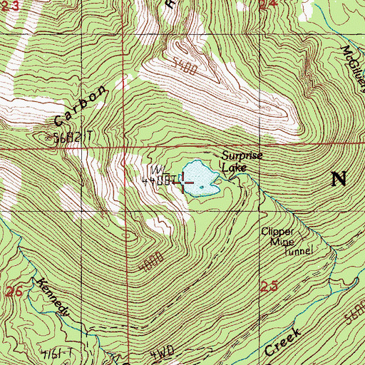 Topographic Map of Surprise Lake, WA