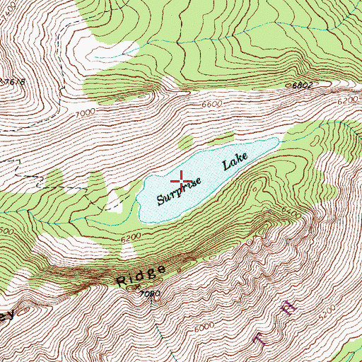 Topographic Map of Surprise Lake, WA