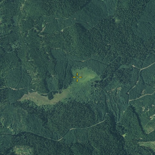 Aerial/Satellite Image of Surprise Meadow, WA