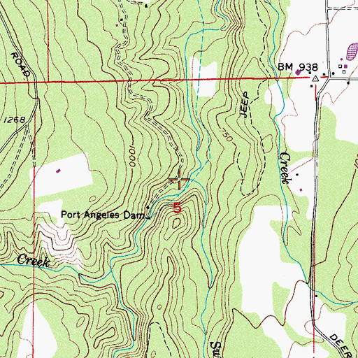 Topographic Map of Surveyor Creek, WA