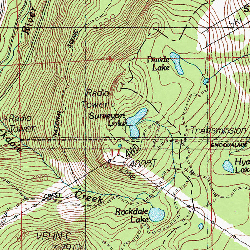 Topographic Map of Surveyors Lake, WA
