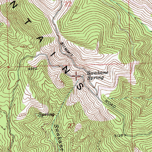 Topographic Map of Swakane Spring, WA