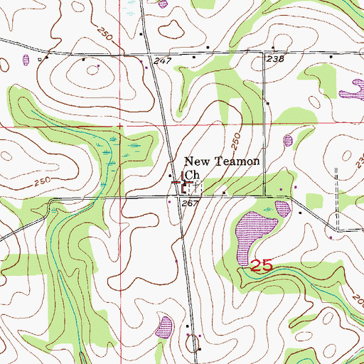 Topographic Map of New Teamon Church, AL