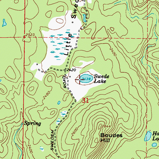Topographic Map of Swede Lake, WA