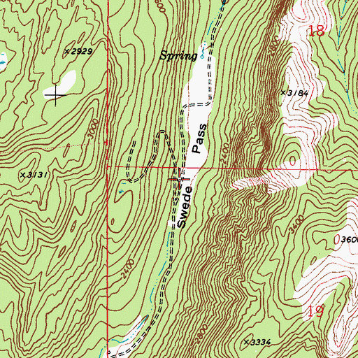 Topographic Map of Swede Pass, WA