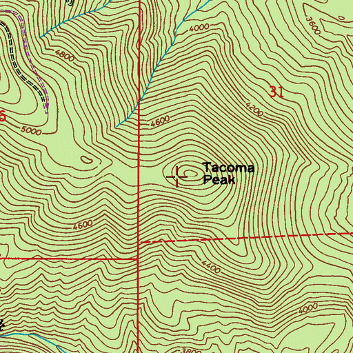 Topographic Map of Tacoma Peak, WA