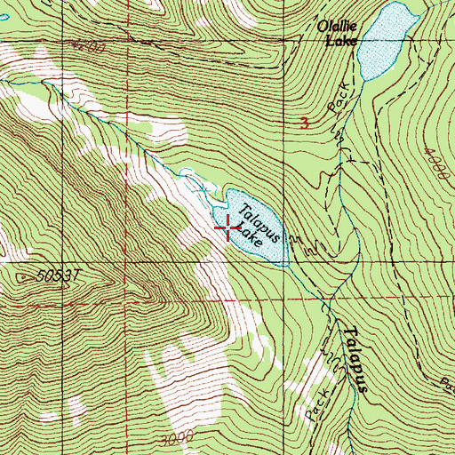 Topographic Map of Talapus Lake, WA