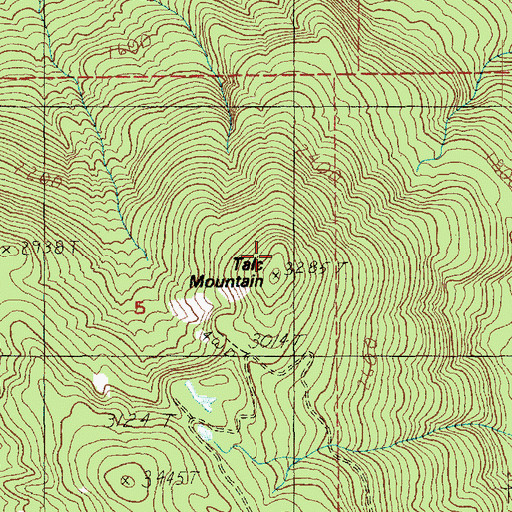 Topographic Map of Talc Mountain, WA