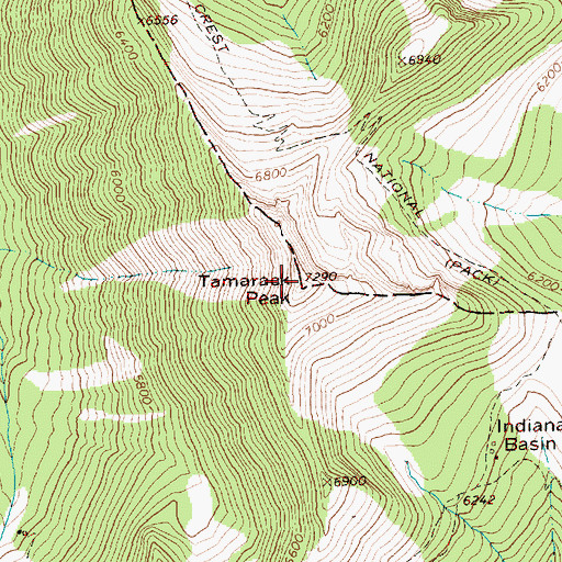 Topographic Map of Tamarack Peak, WA