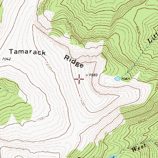 Topographic Map of Tamarack Ridge, WA