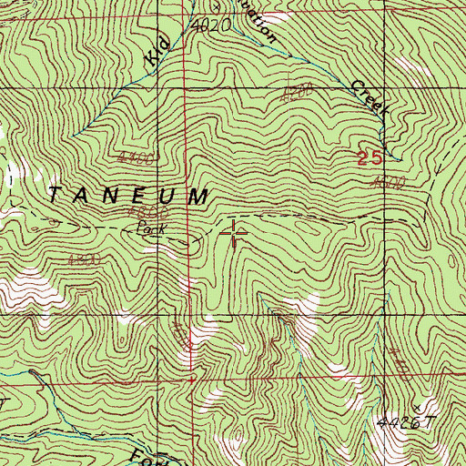 Topographic Map of Taneum Ridge, WA