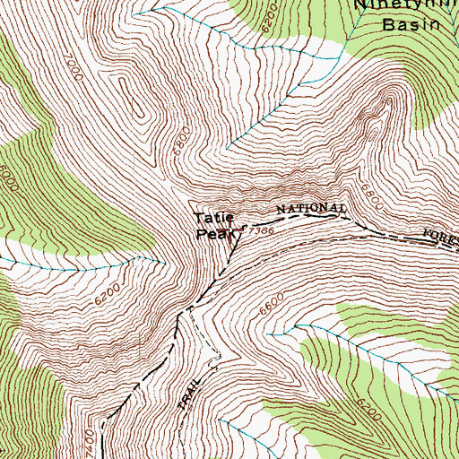 Topographic Map of Tatie Peak, WA
