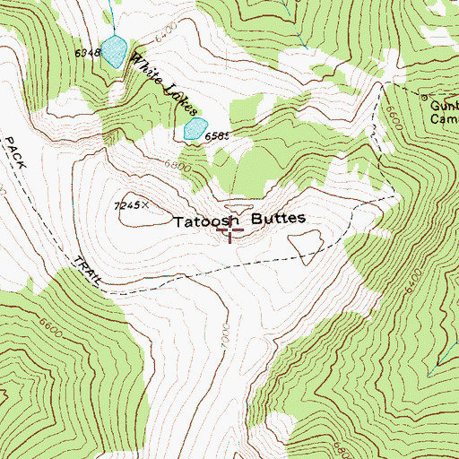 Topographic Map of Tatoosh Buttes, WA