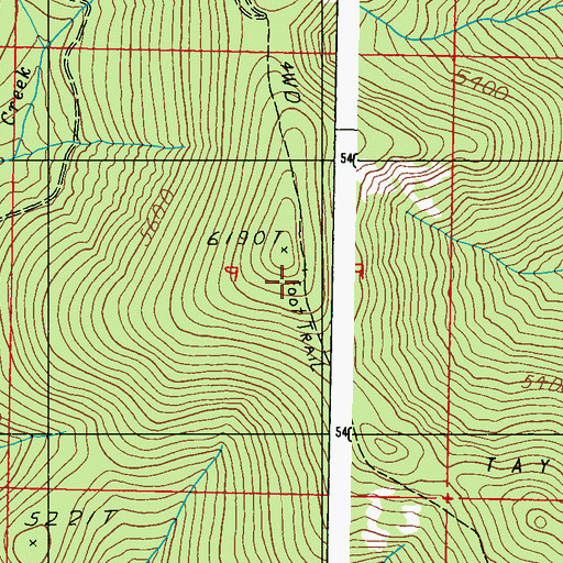 Topographic Map of Taylor Ridge, WA
