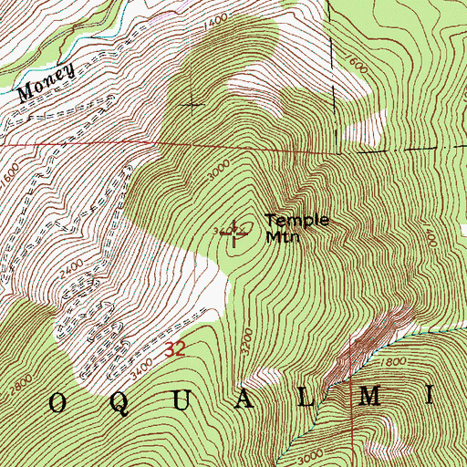 Topographic Map of Temple Mountain, WA